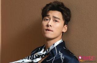 娱乐八卦爆料李易峰,娱乐圈再掀波澜